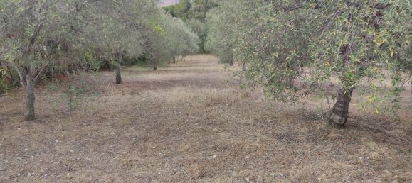 Grundstück in Montelepre, Italy, Nr. 336778 6