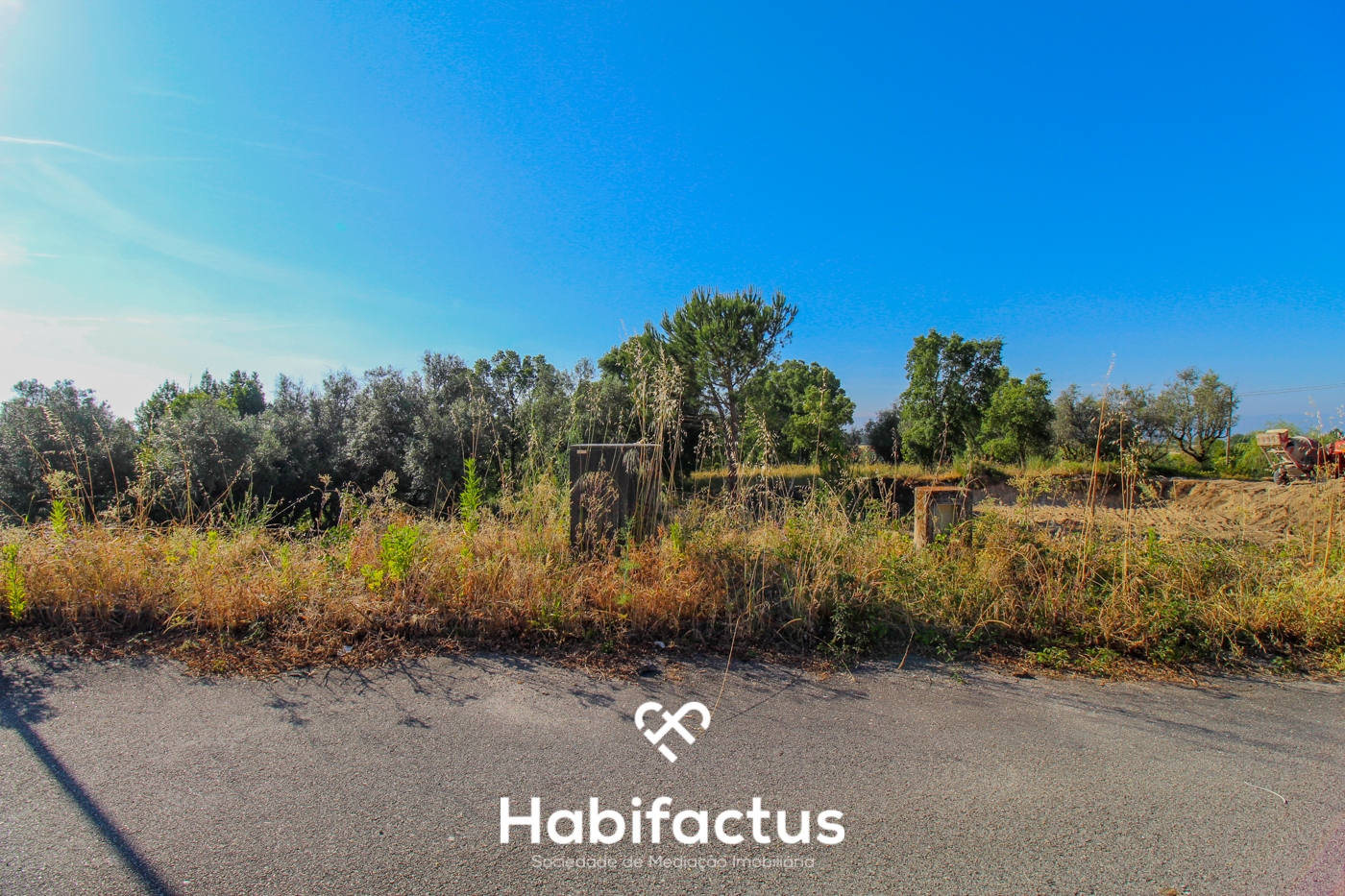  Land in Nelas, Portugal No. 58956