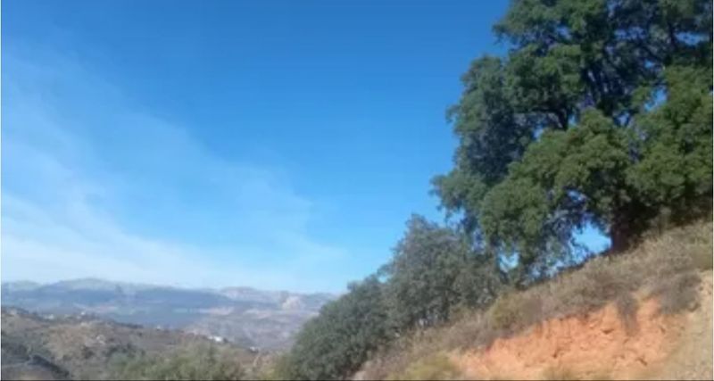 Terrain à Colmenar, Spain 1000m² No. 223793