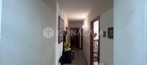 5 rooms Villa in Bitonto, Italy No. 27150 7