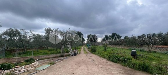 5 rooms Villa in Bitonto, Italy No. 27150 2