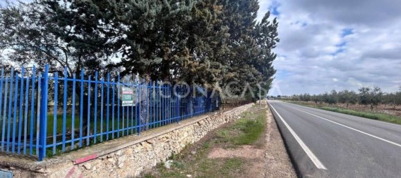 5 rooms Villa in Bitonto, Italy No. 27150 23