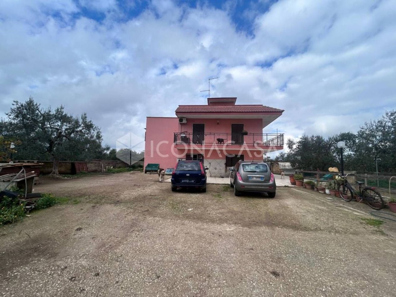 5 rooms Villa in Bitonto, Italy No. 27150