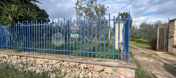 5 rooms Villa in Bitonto, Italy No. 27150 24