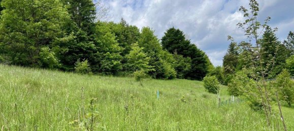 Grundstück in Aspangberg-St. Peter, Austria, Nr. 164045 7