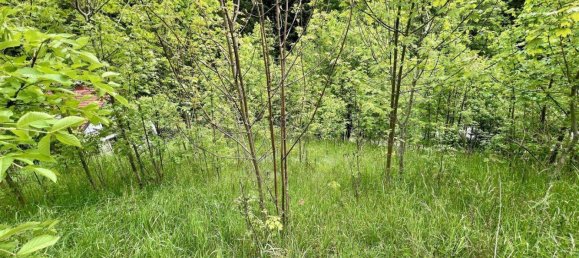 Grundstück in Aspangberg-St. Peter, Austria, Nr. 164045 5