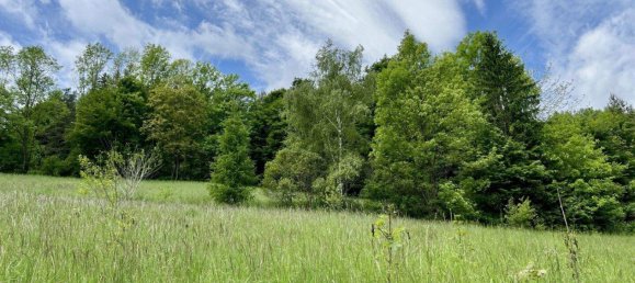 Grundstück in Aspangberg-St. Peter, Austria, Nr. 164045 3