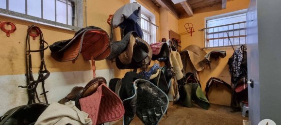 Земельный участок 76743м² в Виндигстайг, Австрия № 162436 26