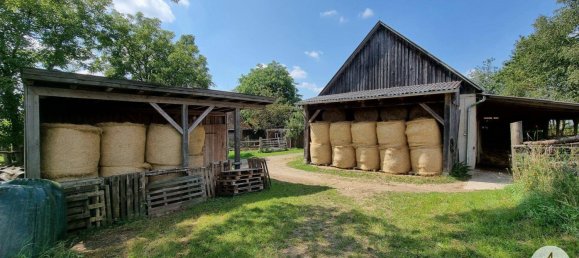 Земельный участок 76743м² в Виндигстайг, Австрия № 162436 29