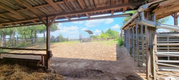 Земельный участок 76743м² в Виндигстайг, Австрия № 162436 30