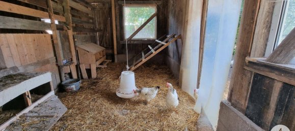 Земельный участок 76743м² в Виндигстайг, Австрия № 162436 9