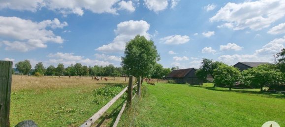 Земельный участок 76743м² в Виндигстайг, Австрия № 162436 7