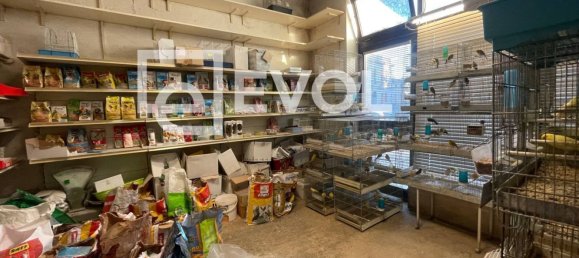 66m² Commercial property in Gorizia, Italy No. 208068 6
