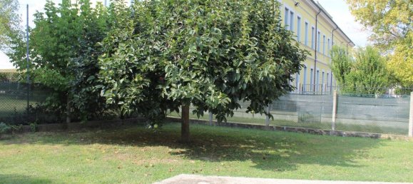 5 bedrooms House in Stienta, Italy No. 331904 4