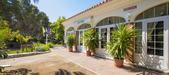 Коммерческая недвижимость с 6 спальнями в Эс-Меркадаль, Испания № 667 2