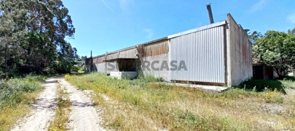 Almacén en Ourem, Portugal 3322 m² No. 159219 2