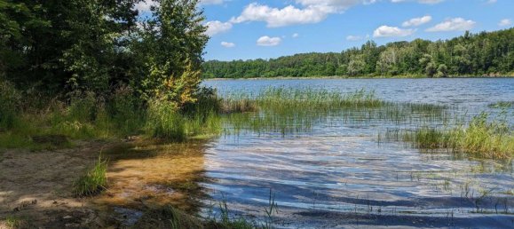 1 غرف نوم بنغالو في Wittenberg, Germany رقم 135076 6