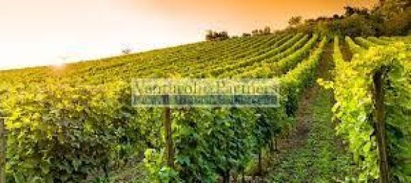 32500m² Land in Lonato del Garda, Italy No. 67069 3