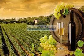 32500m² Land in Lonato del Garda, Italy No. 67069