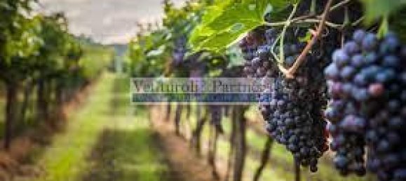 32500m² Land in Lonato del Garda, Italy No. 67069 2