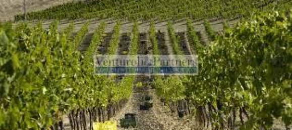 32500m² Land in Lonato del Garda, Italy No. 67069 4