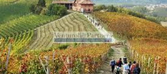 32500m² Land in Lonato del Garda, Italy No. 67069 6