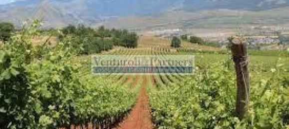 32500m² Land in Lonato del Garda, Italy No. 67069 7
