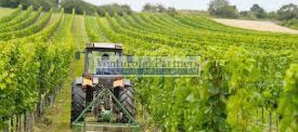 32500m² Land in Lonato del Garda, Italy No. 67069 5