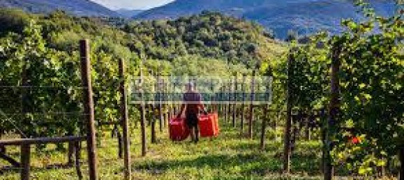 32500m² Land in Lonato del Garda, Italy No. 67069 9