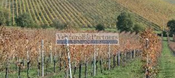 32500m² Land in Lonato del Garda, Italy No. 67069 8