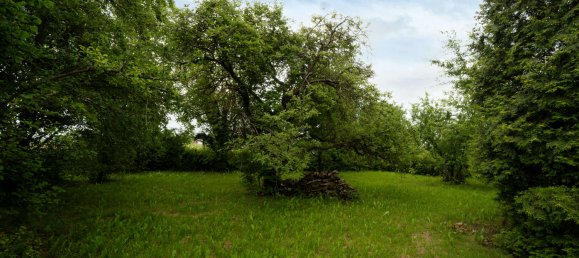 4 غرف نوم منزل في Freising, Germany رقم 154337 14