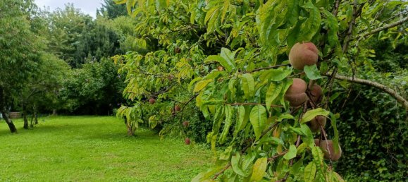 3 bedrooms House in Bourgueil, France No. 239983 8