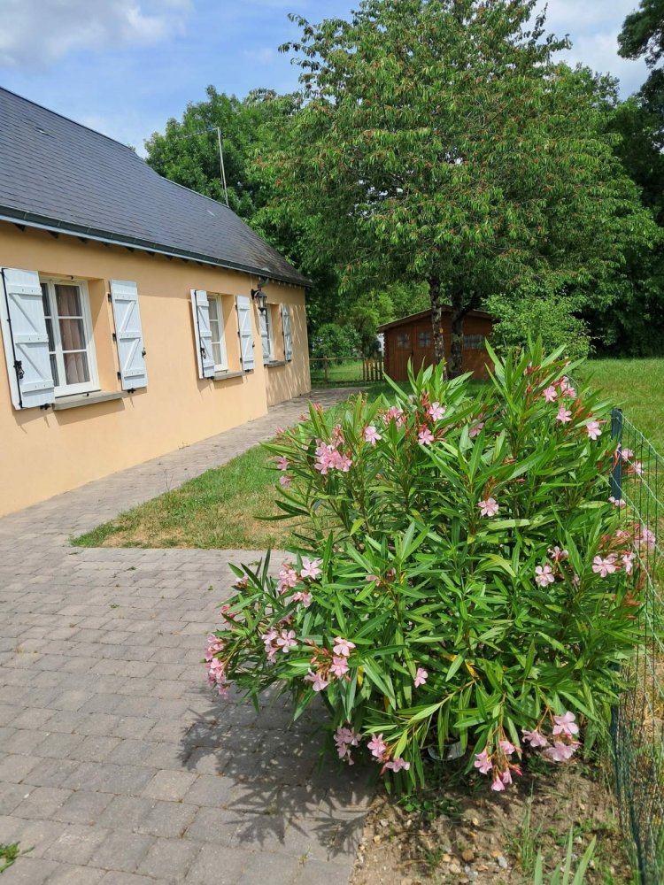 3 bedrooms House in Bourgueil, France No. 239983