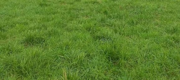 4 bedrooms House in Fumel, France No. 301517 3