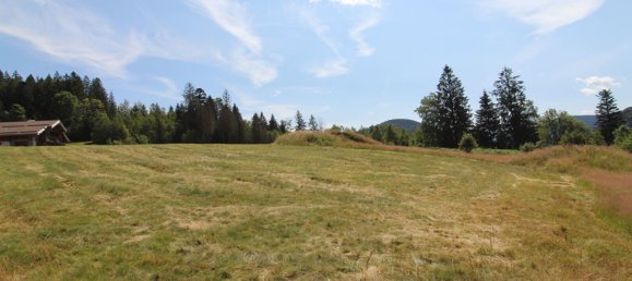 Terreno en Xonrupt-Longemer, France No. 252822 6