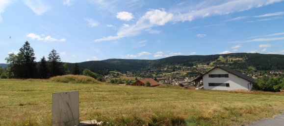 Terreno en Xonrupt-Longemer, France No. 252822 5