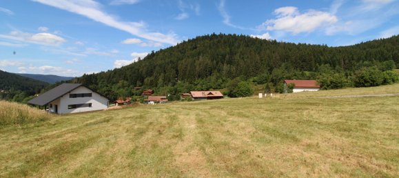 Terreno en Xonrupt-Longemer, France No. 252822 3