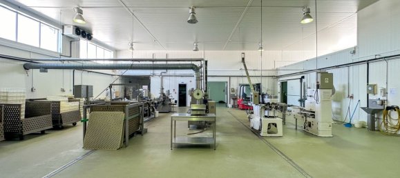 982m² Warehouse in Alcacer do Sal, Portugal No. 154938 16