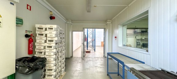 982m² Warehouse in Alcacer do Sal, Portugal No. 154938 18