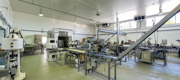 982m² Warehouse in Alcacer do Sal, Portugal No. 154938 11