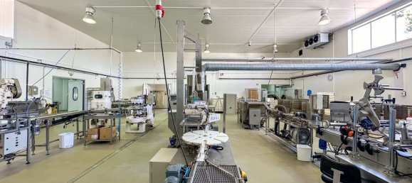 982m² Warehouse in Alcacer do Sal, Portugal No. 154938 17