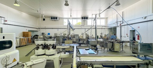 982m² Warehouse in Alcacer do Sal, Portugal No. 154938 12