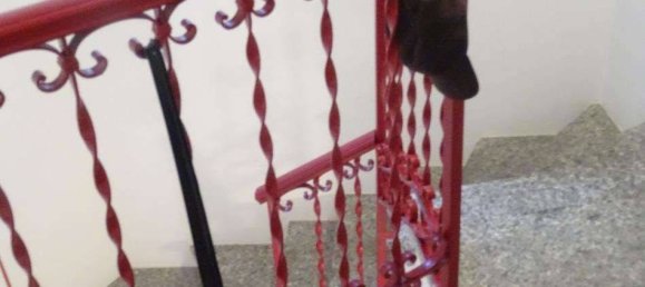 2 Schlafzimmer Haus in Mortara, Italy, Nr. 332272 12