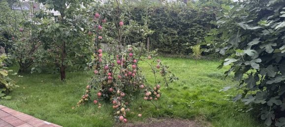 3 bedrooms House in Saarlouis, Germany No. 362768 14