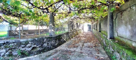 7 bedrooms House in Caminha, Portugal No. 169385 43