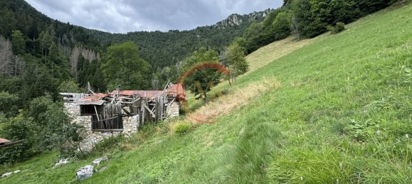 3-salle Maison à Ledro, Italy No. 273718 12