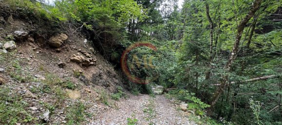 3-salle Maison à Ledro, Italy No. 273718 20