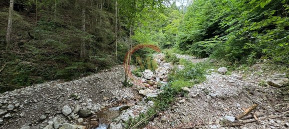 3-salle Maison à Ledro, Italy No. 273718 18