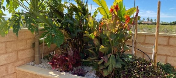 Casa de 5 dormitorios en Albatera, Spain No. 185179 9