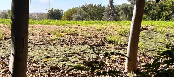  قطعة أرض في Alicante, Spain رقم 152740 9